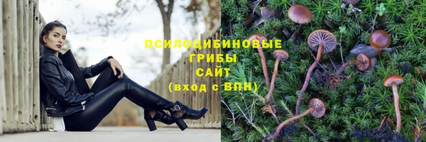 экстази Баксан
